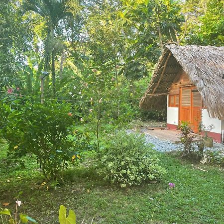 Cabanas Tucan Eco Hotel Capurganá Εξωτερικό φωτογραφία