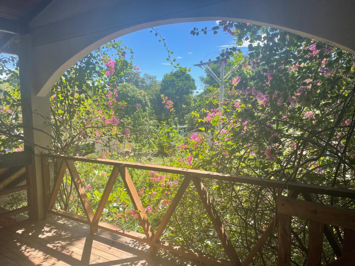 Cabanas Tucan Eco Hotel Capurganá Εξωτερικό φωτογραφία