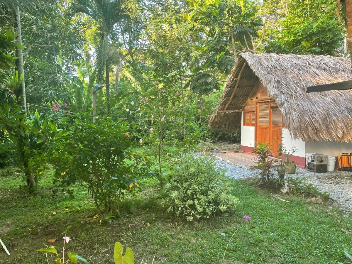 Cabanas Tucan Eco Hotel Capurganá Εξωτερικό φωτογραφία