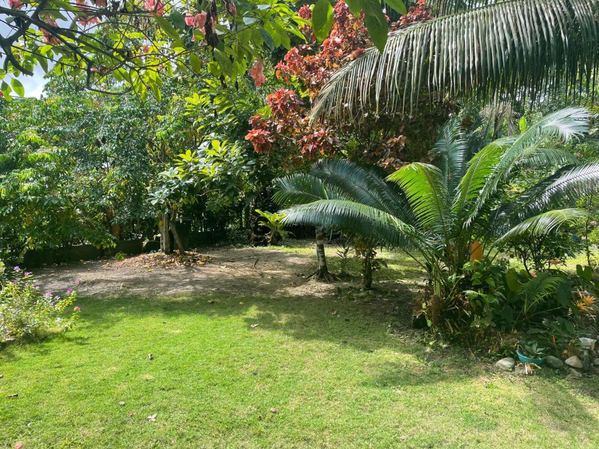 Cabanas Tucan Eco Hotel Capurganá Εξωτερικό φωτογραφία