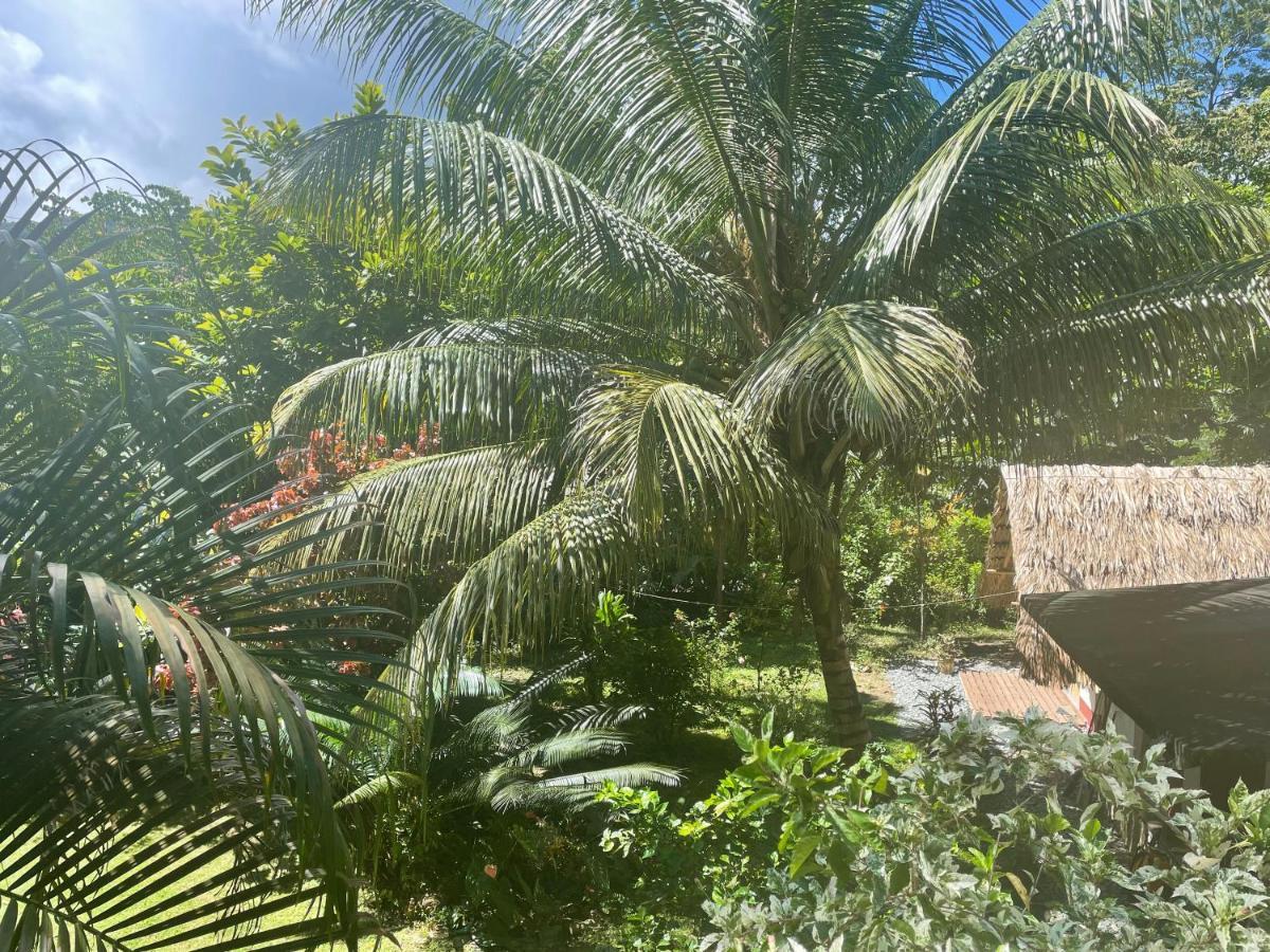 Cabanas Tucan Eco Hotel Capurganá Εξωτερικό φωτογραφία
