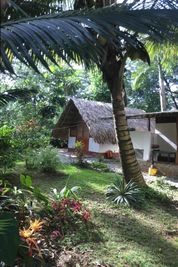 Cabanas Tucan Eco Hotel Capurganá Εξωτερικό φωτογραφία